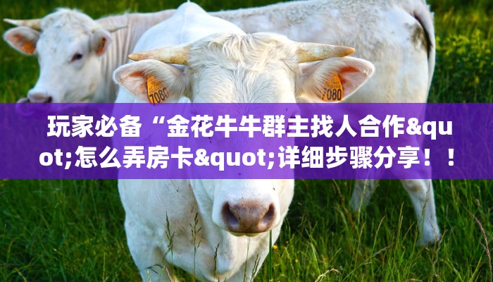  玩家必备“金花牛牛群主找人合作"怎么弄房卡"详细步骤分享！！！