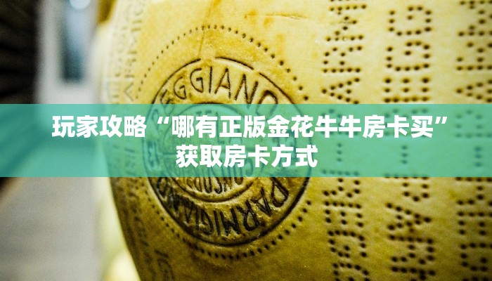  玩家攻略“哪有正版金花牛牛房卡买”获取房卡方式