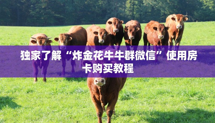 独家了解“炸金花牛牛群微信”使用房卡购买教程 独家了解“炸金花牛牛群微信”使用房卡购买教程