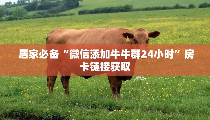 居家必备“微信添加牛牛群24小时”房卡链接获取 居家必备“微信添加牛牛群24小时”房卡链接获取