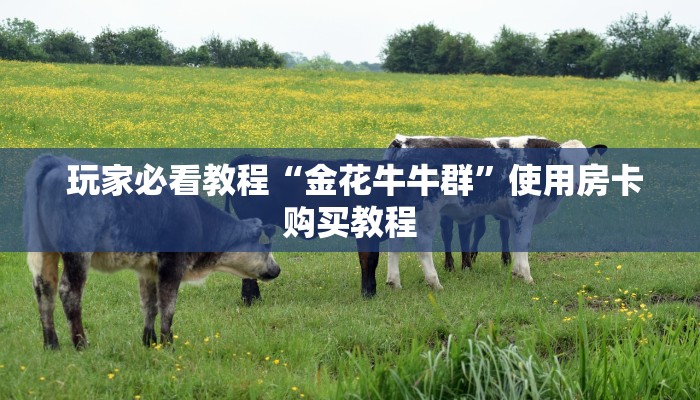  玩家必看教程“金花牛牛群”使用房卡购买教程
