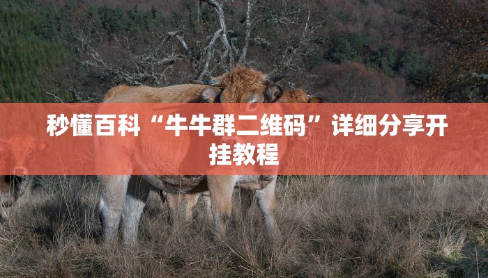  秒懂百科“牛牛群二维码”详细分享开挂教程