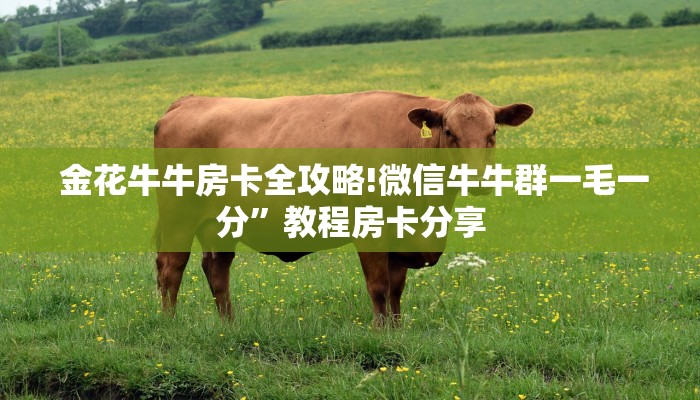  金花牛牛房卡全攻略!微信牛牛群一毛一分”教程房卡分享
