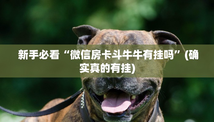  新手必看“微信房卡斗牛牛有挂吗”(确实真的有挂)