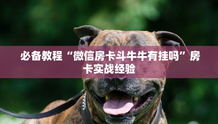  必备教程“微信房卡斗牛牛有挂吗”房卡实战经验