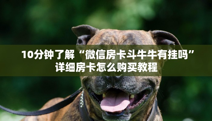  10分钟了解“微信房卡斗牛牛有挂吗”详细房卡怎么购买教程