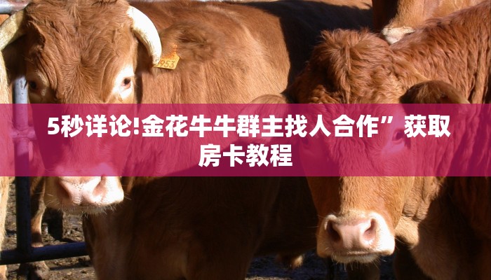  5秒详论!金花牛牛群主找人合作”获取房卡教程