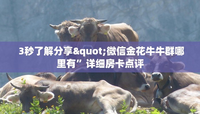  3秒了解分享"微信金花牛牛群哪里有”详细房卡点评