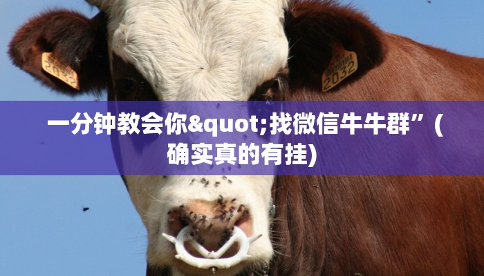  一分钟教会你"找微信牛牛群”(确实真的有挂)