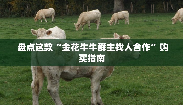  盘点这款“金花牛牛群主找人合作”购买指南