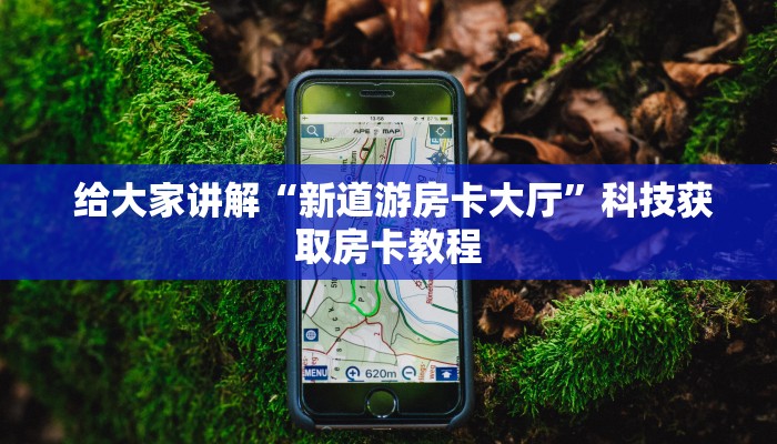  给大家讲解“新道游房卡大厅”科技获取房卡教程
