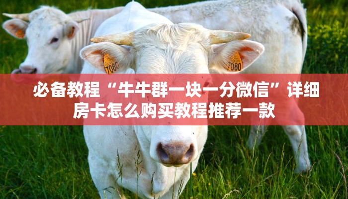  必备教程“牛牛群一块一分微信”详细房卡怎么购买教程推荐一款
